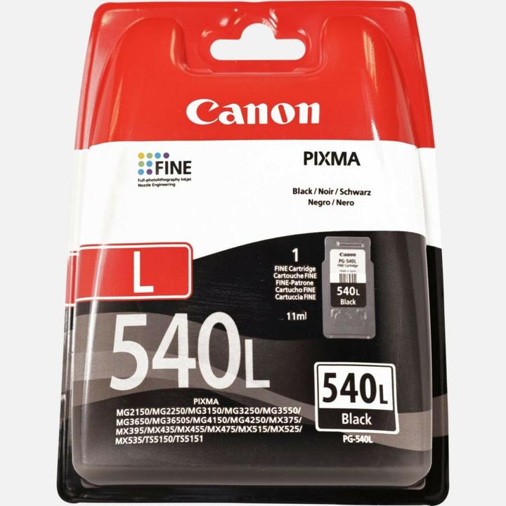 Actual product image Canon PG-540L (FC)