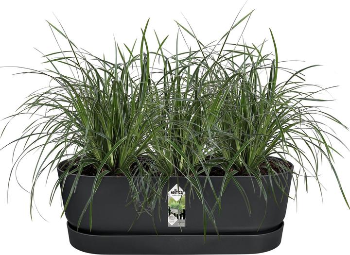 Produktbild Elho Balkonkistchen (21 cm)