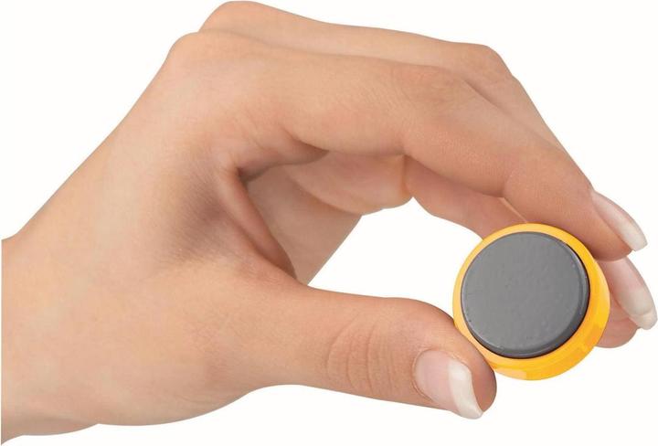 Immagine prodotto Maul per magnete (20 x)