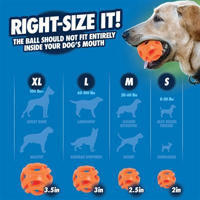 Actual product image Chuckit! CHUCKIT BREATHE RIGHT Bring the ball Lots 6.5 cm in diameter Size M 2 pcs Orange (Ball toy dog)