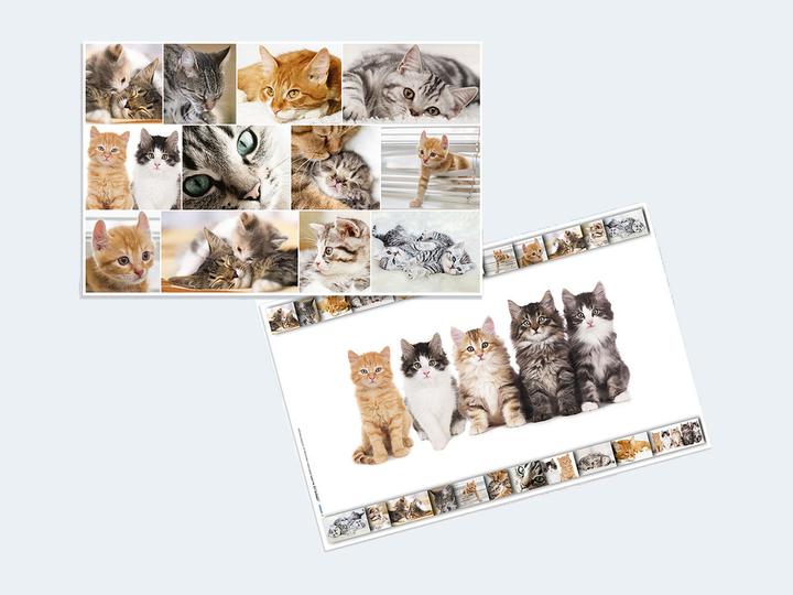 Produktbild HERMA GmbH Schreibunterlage Katze 55x35cm (55 x 35 cm)