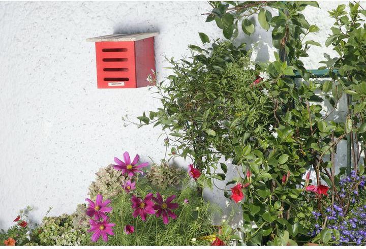 Actual product image Windhager Lacewing box (Lacewings)
