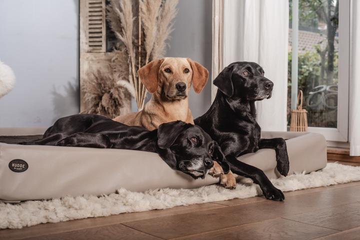 Image du produit Sabro Lit pour chien Kudde (Chien)