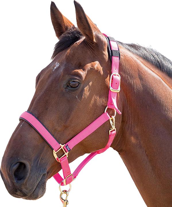 Immagine prodotto Shires UTER239 P