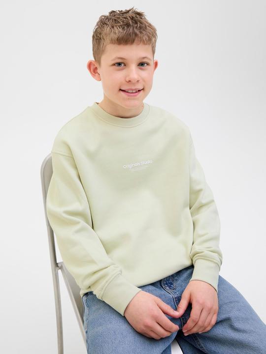 Actual product image Jack & Jones Gedruckt Sweatshirt Junior Sweatshirt (152)