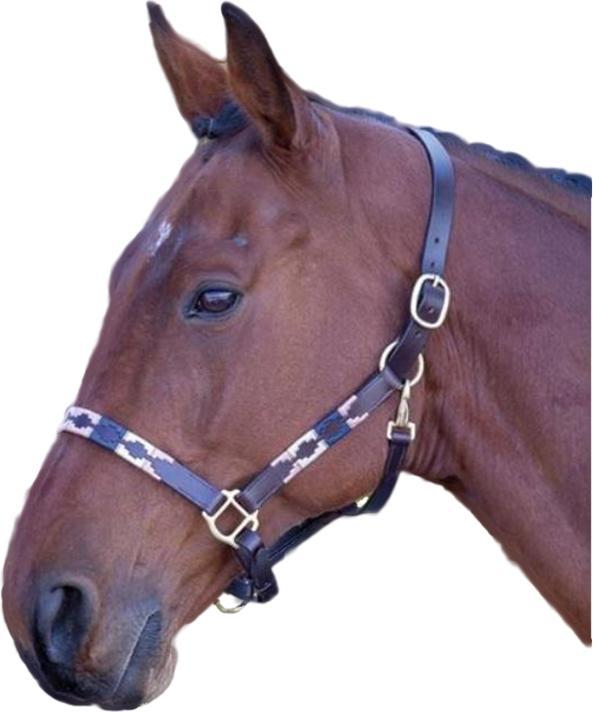 Immagine prodotto Universal Textiles Cavezza per cavalli da polo in pelle