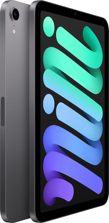 Image du produit Apple iPad mini 2021 (6.Gen) (WLAN uniquement, 8.30", 256 Go, Space grey)