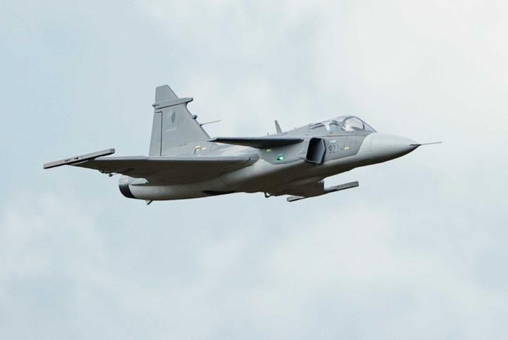 Actual product image Freewing Jas-39 Gripen grey PNP Jet EDF (Jet)