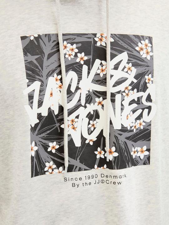 Image du produit Jack & Jones Logo Sweat à capuche Sweat à capuche (XXL)