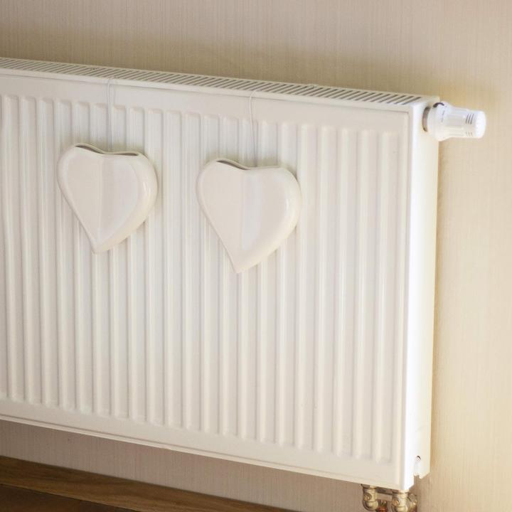 Immagine prodotto Metrox Set di umidificatori a cuore