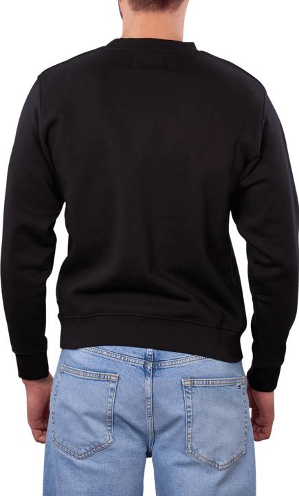 Immagine prodotto Replay Sweater (L)