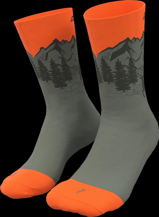 Actual product image Dynafit Stay Fast Socks Unisex (39 - 42)