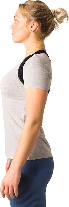 Immagine prodotto Swedish Posture Flexi