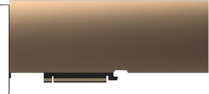 PNY Nvidia A40 (48 GB)