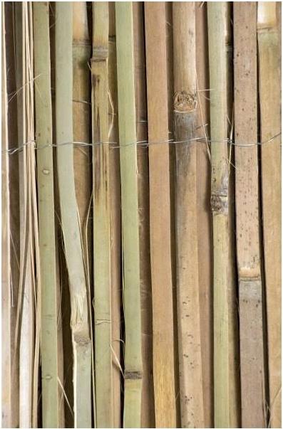 Produktbild Windhager Mitake (300 cm)