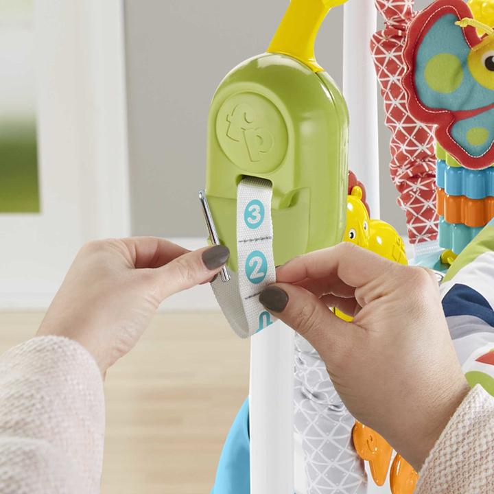 Image du produit Fisher-Price Amis des animaux Jumperoo