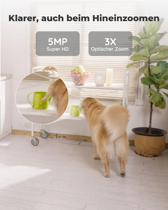 Productafbeelding Reolink E1 Zoom V2 (2560 x 1920 pixels)
