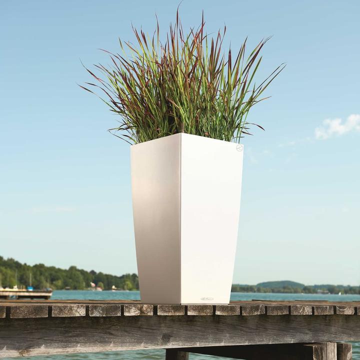 Produktbild Lechuza Cubico Color (39.50 cm)