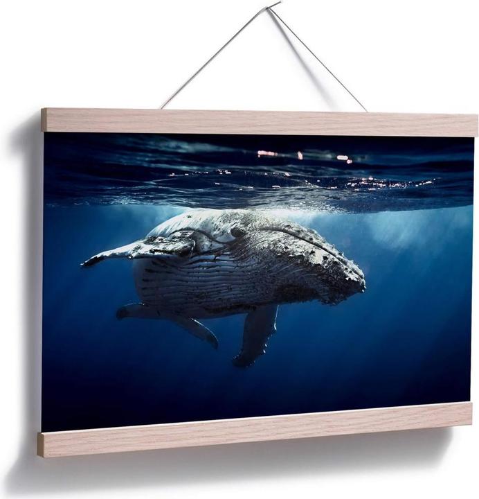 Produktbild Trenddeko Buckelwal auf Tauchgang (100 x 70 cm)