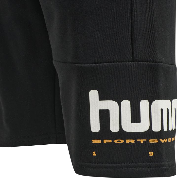 Actual product image hummel Lgc Manfred Shorts (S)