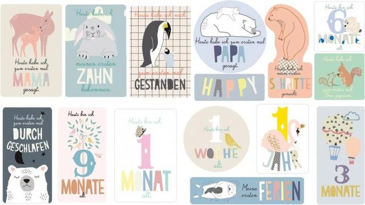 Image du produit Milestone Cartes MIMIlou Baby (français)