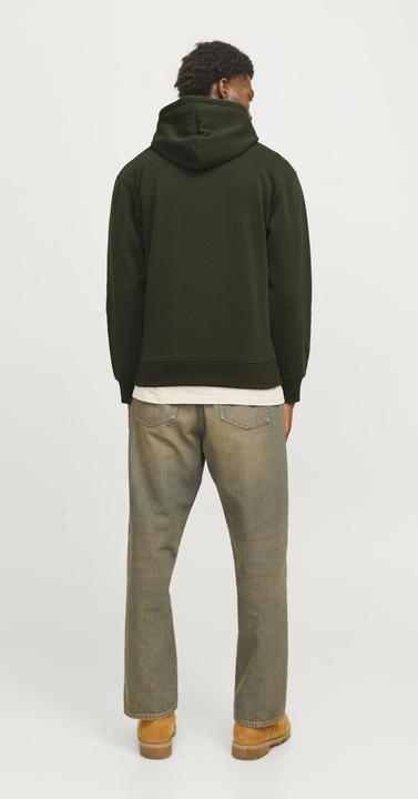 Actual product image Jack & Jones Gedruckt Kapuzenpullover Kapuzenpullover (S)