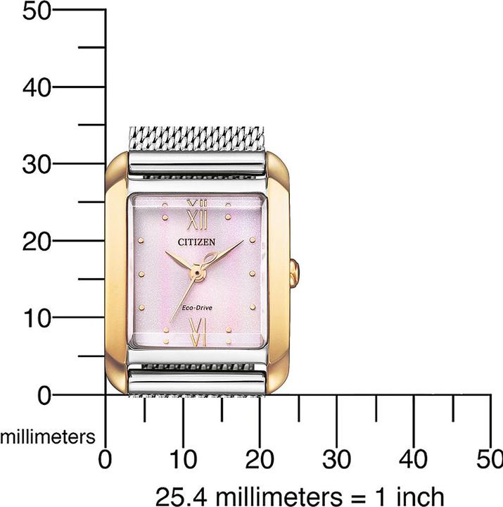 Immagine prodotto Citizen EW5596-66X Eco-Drive Elegance Donna 22mm 5ATM (Orologio da polso analogico, 22 mm)