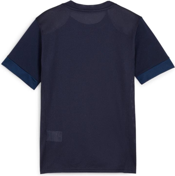 Actual product image Puma teamGOAL Matchday Jersey jr (164)