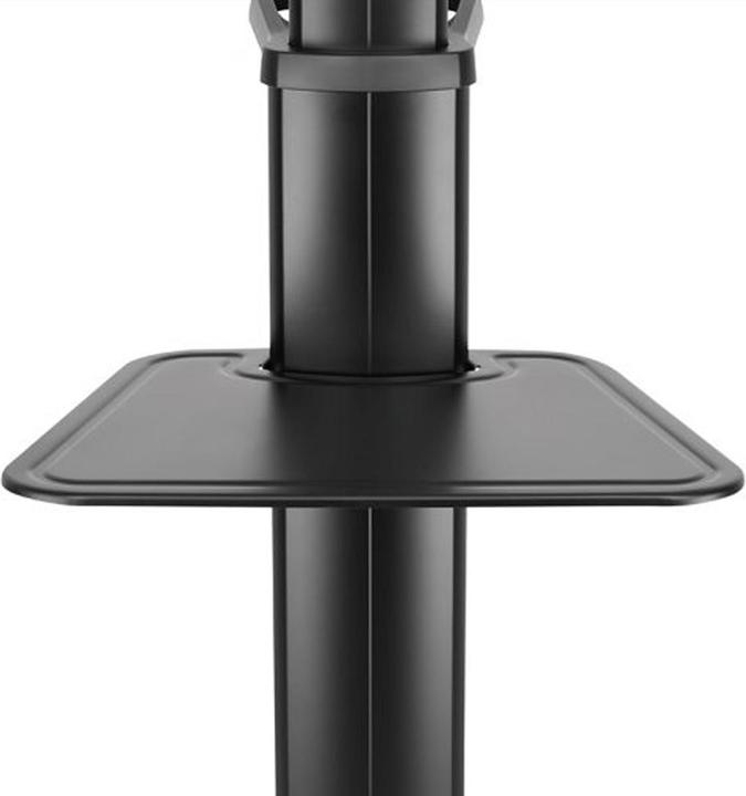Produktbild Hagor BrackIT Stand Single (65 Zoll) (65", 70 kg)