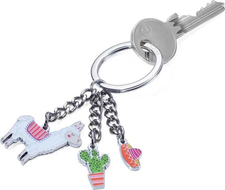 Actual product image Troika PAKO key fob