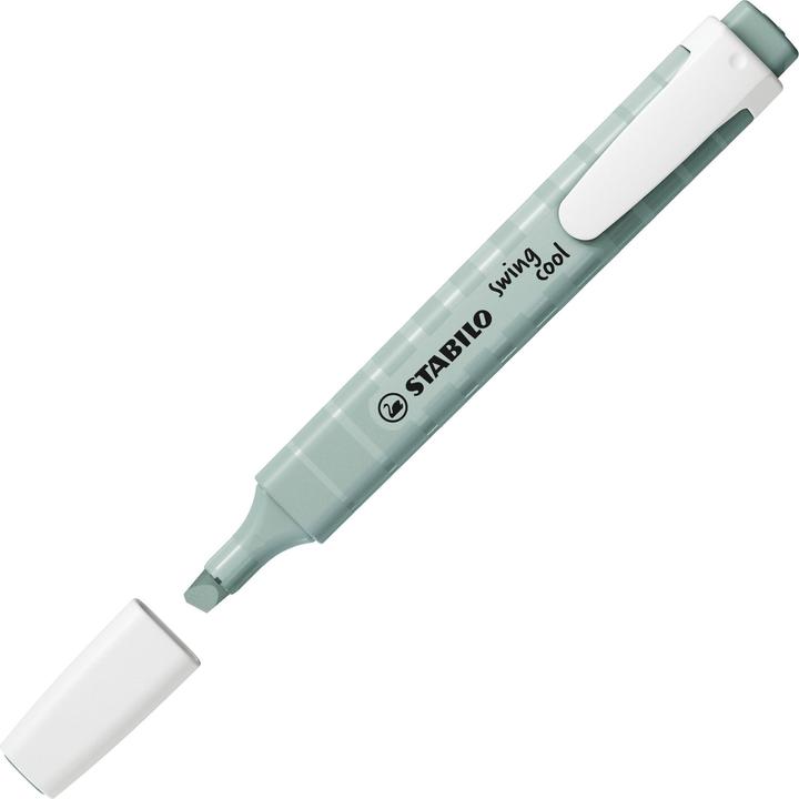Immagine prodotto STABILO Swing Cool (Verde terra, 4 mm, 1 x)