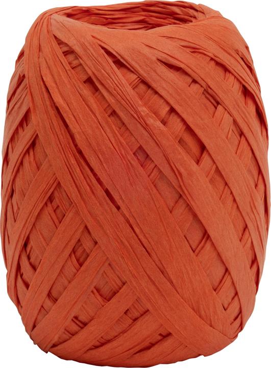 Image du produit Goldina Raphia Paper Raffia (Ruban, 1 x)