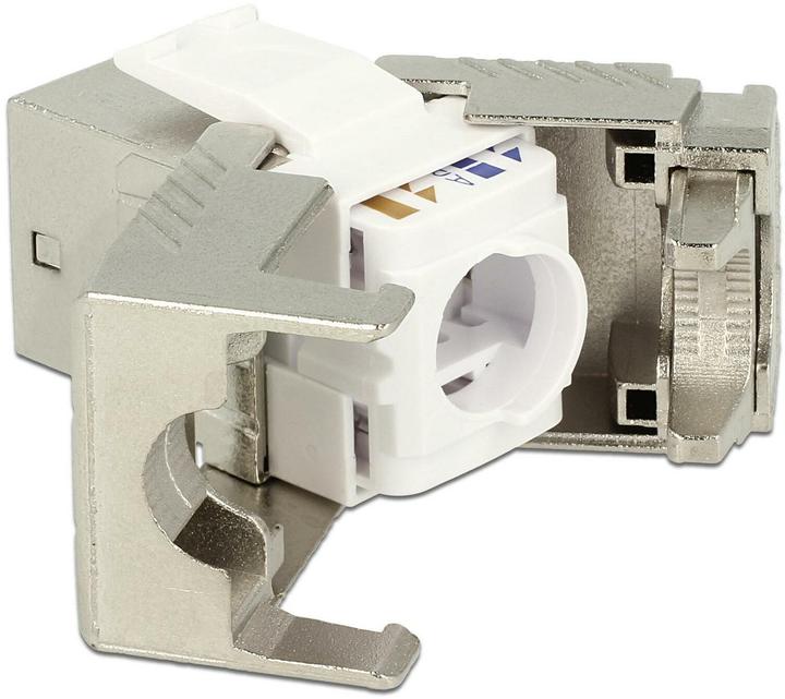 Image du produit Delock Module Keystone Cat.8, blindé (Module Keystone)