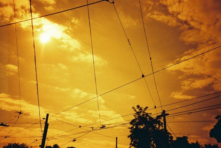 Actual product image Lomo Redscale XR
