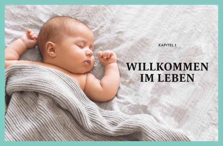 Produktbild Das grosse Buch für Babys erstes Jahr (Deutsch, Stephan Heinrich Nolte, Annette Nolden, 2023)