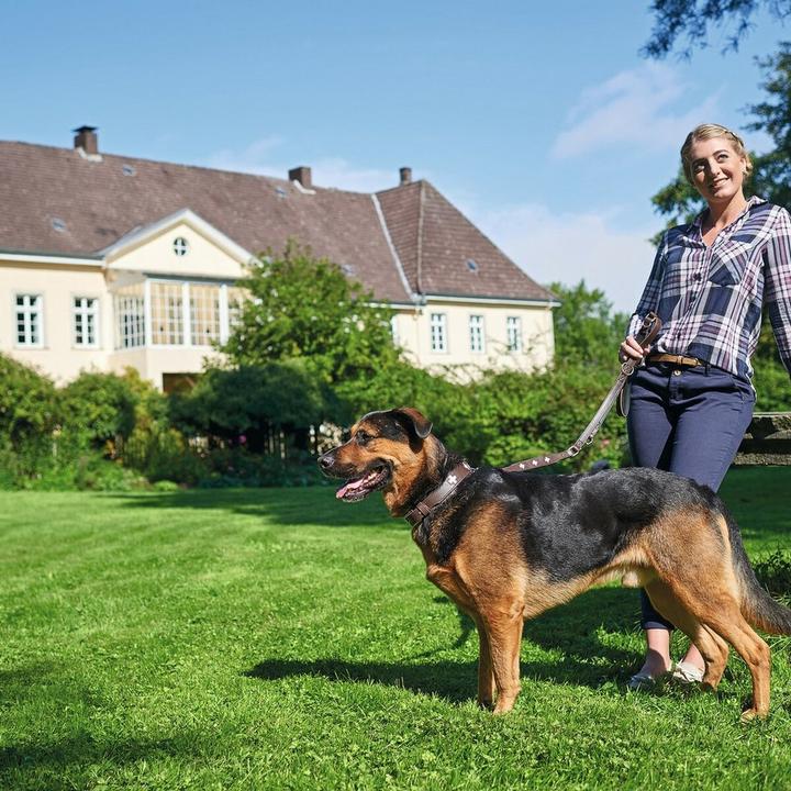 Productafbeelding Hunter Halsband Zwitsers (Hond, Hondensport)