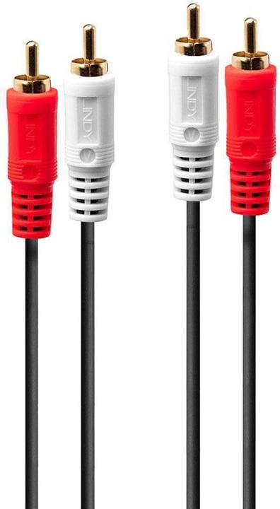 Immagine prodotto Lindy Cavo audio stereo stereo 2x RCA maschio a 2x RCA maschio, 10m, placcato oro (10 m, Cinch)