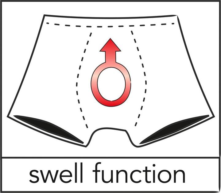 Image du produit Svenjoyment Swell-Pants Zunft (XL)