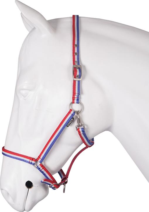 Actual product image Horka Halter for horse base