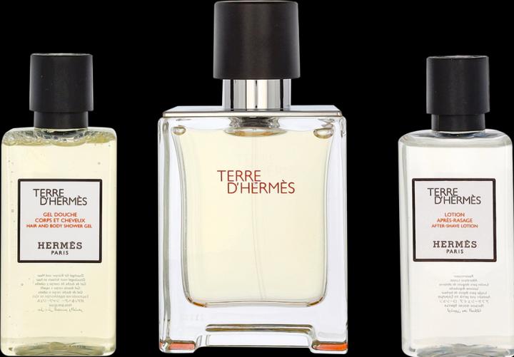 Produktbild Hermès Terre d' (Haarpflege set)