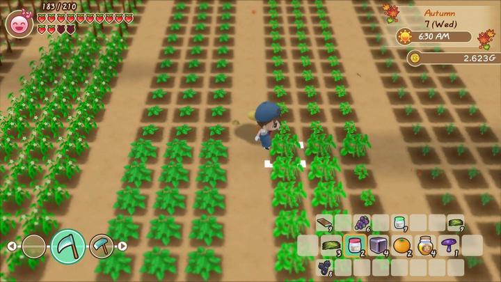 Produktbild Marvelous Story of Seasons : Friends of Mineral Town (Switch, FR)