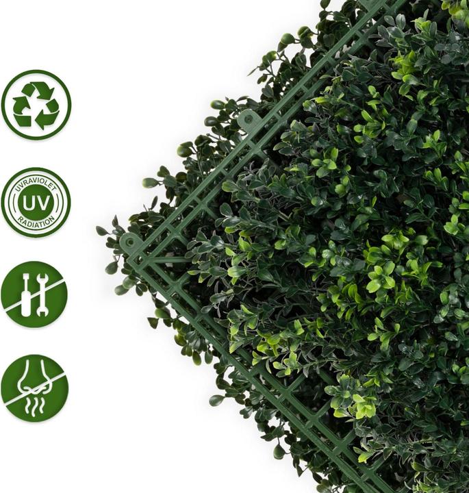 Image du produit Karat Mur de plantes Boxwood (50 cm)