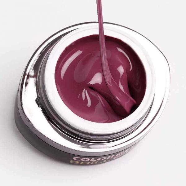 Immagine prodotto BrillBird Gel Brush & Go G97 - 4,5 ml