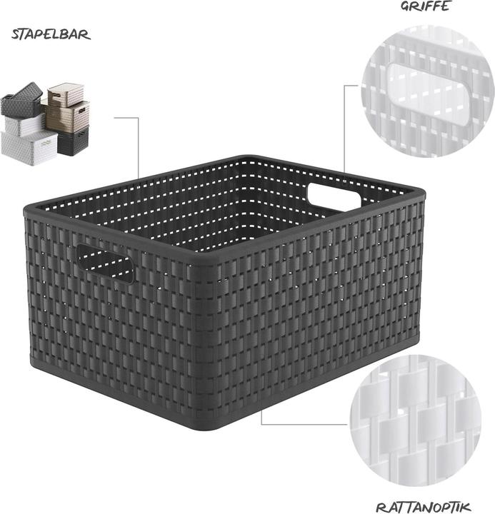Image du produit Rotho Pays (1 x, 43 x 33 x 21 cm)