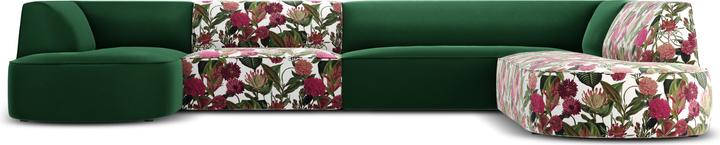 Modello di rosa da giardino, Verde