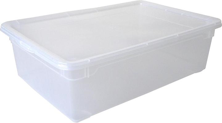 Immagine prodotto Rotho Cancella (55 x 37,5 x 16 cm, 22 l)
