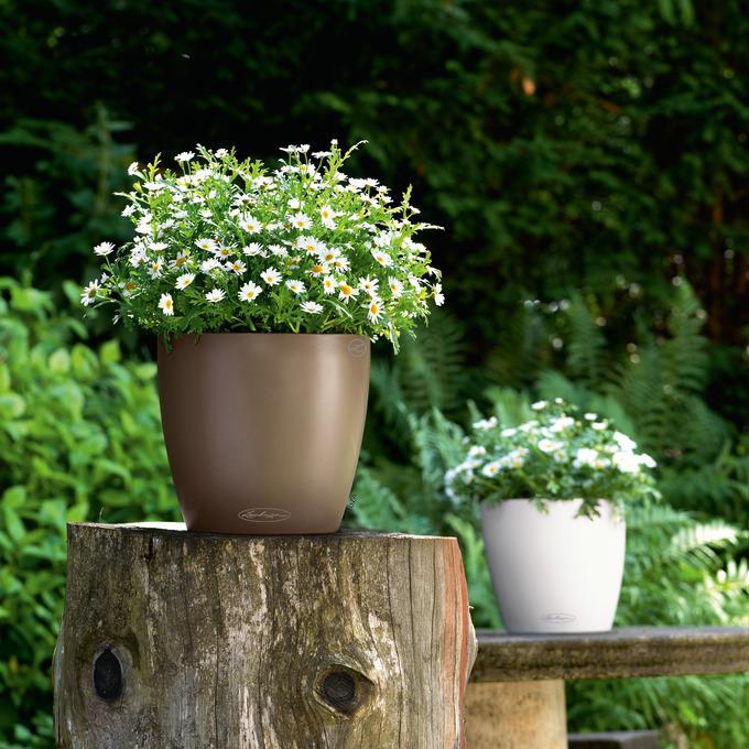 Actual product image Lechuza Classico Color (21.50 cm)