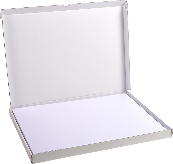 Image du produit Exacompta Fiches (A3, 205 g/m², 100 x)