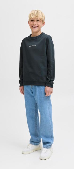 Actual product image Jack & Jones Jornorrebro Emb Sweat Crew Noos Jnr (128)