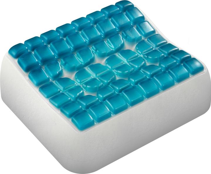 Immagine prodotto Technogel Anatomic (Cuscino per testa e collo)